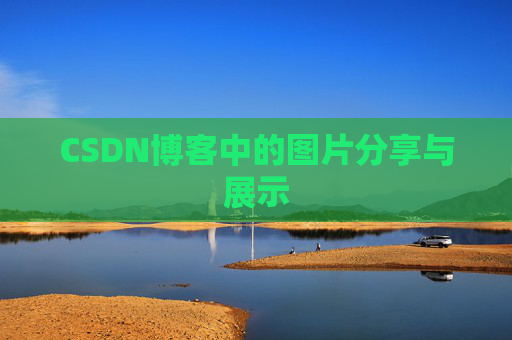 CSDN博客中的图片分享与展示